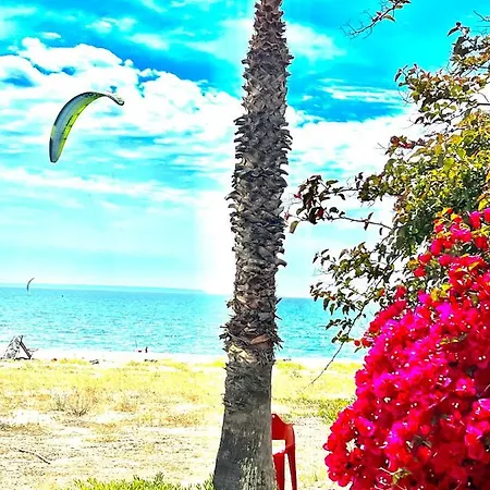 Windsurf Front